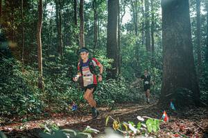 BIB: 
                            <button type="button" onclick="openModal(26075334)" class="btn btn-primary btn-sm float-right btn-popup" data-toggle="modal" data-target=".modal-high-quality">
                        <i class="fas fa-shopping-cart"></i> Add to Cart
                    </button>
                                            <button type="button" onclick="isThisMe(26075334, true)" class="btn btn-success btn-sm float-right btn-popup btn-isme hidden" data-toggle="tooltip" data-placement="bottom" title="นี่คือรูปของคุณใช่ไหม คลิกที่นี่เพื่อเอาเข้าอัลบั้ม">
                        <i class="fas fa-plus"></i> Add to album
                    </button>
                    <button type="button" onclick="isThisMe(26075334, false)" class="btn btn-warning btn-sm float-right btn-popup btn-isnotme hidden">
                        <i class="fas fa-ban"></i> Remove from album
                    </button>